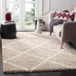Hitex Carpet Microfibre Beige, Ivory02-K Living Room Soft And Fluffy Shag Silk Touch Area Rug - 9 X 9 Feet