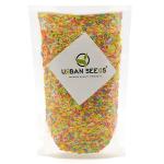 Urban Seeds Rainbow Sprinkle For Cake Decoration, 1 Kg