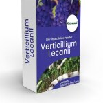 Katyayani Verticillium Lecanii | Powder Bio Insecticide | 1 KG