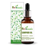 Expo Organics Pure & Natural Camphor Essential Oil | 100% Natural Therapeutic Grade Oil For Skin Care & Hair Care (30ml)