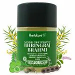 HerbtoniQ Natural Bhringraj Brahmi Shampoo Powder with Organic Ingredients Amla, Shikakai, Hibiscus, and More for Hair Fall Reduction, Dandruff Control, and Hair Growth for Men & Women 500 Grams
