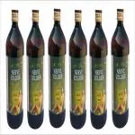 DEE INDIA HERBALS Ayurvedic Nerve soldier Syrup Tonic For Nerves & Brain ( 450 Ml ) Pack Of 6