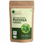 Bliss of Earth 100% Pure & Natural Pudina Powder (Mint Powder) 100GM for chutney, Chinese Dishes