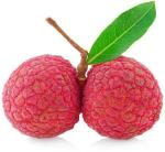 Zomoloco Litchi PlantLichu PlantSG-P-850