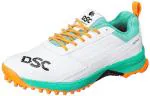 DSC Jaffa 22 Cricket Shoes for Men & Boys ( 3 UK / 4 US / 37 EU )