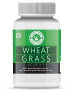 Holy Natural Wheat Grass Capsule - 120 cap, Boost Immunity & Increase Energy Power, Support In Digestion & Healthy Body, Perfect for Men and Women.