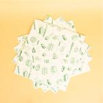 TDS PLUS WRAP 500 Pre Cut Food Wrapping Butter Paper Sheets for Food Packaging i.g. Patratha Packing, Roti Packing, BUrger Packing, Baking and Cooking Etc. (Green Print)