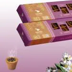 Nandi Panchgavya Organic 100% Cow Dung Dhoop Havan Cup (24 pcs) |Vedic Purifier Sambrani Cups|Jasmine (Pack of 2) Incense Havan Cups-No Carbon Emission|Dhoop Cups for Pooja & Havan with stand