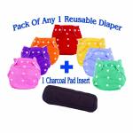 THE LITTLE LOOKERS Assorted Adjustable Cotton Diaper 1pcs & Bamboo Charcoal Insert 1pcs (0-2 Y)