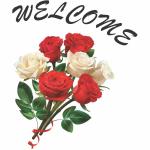 Wallzone Multicolor Pvc, Vinyl Welcome Medium Wallsticker, 40 X 50 Cm