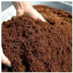Mashki Cocopeat Powder