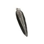 Astroghar King Size Kuber Finance Orthoceras Crystal Stone Pendent For Men And Women