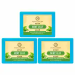 Ayusoul Ayurveda Khadi Herbal Natural Mint Bath Soap for Soothing & Natural Skin Pack of3