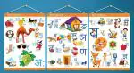 Ekdali Multicolor Paper Fonts Hindi Alphabet Posters (Pack of 3)