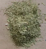 Nutrixia Dhamasa-Fagonia Cretica-Dhamaso-Damahan 50 Gms