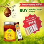 ARYAVRAT - Raw Honey 500 Gram 100% Pure Organic and Natural and get Free Royal Honey Spoons - 6 Spoons