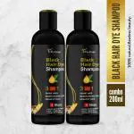 TryOnes Dye Instant Black Hair Dye Shampoo 1+1 3 In 1 Shampoo 100ML (COMBO) , For Shine Hair & Moisturizing Healthy Hair 3 Steps