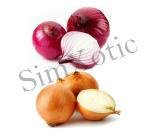 SimXotic Seeds Combo of Onion Seeds - Nashik Red & Orange Varieties (100 Seeds Each; ORGANIC)