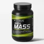 Inlife Muscle Mass Gainer Protein Powder with Whey Protein, Complex Carbs, Weight Gainers (1 kg)