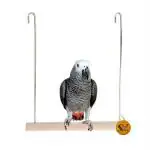 Sage Square Playful Perch Wood Perch Swing Toy Cage Hanging Platform For Birds (L)