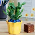 UGAOO Star Ceramic Pot (Yellow) 11 cm x 11 cm x 8 cm