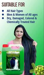 KURAIY Adivasi Neelambari best ayurvedic herbal Shampoo 1Ltr