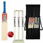 ABSO Wooden Cricket kit with Base Size 3 for Age Group 8 Years
