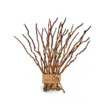 Coco land Coconut Bunch Stem Varnished (Pack of 24) Dry Flower Stem /Natural Flower Stem /Raw Craft /Handi Craft /Coconut Craft