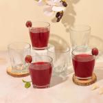 Castleite Icebox Series Water Glasses Set of 6 - Crystal Cut, Designer Glass for Juices, Cold Drinks