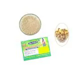 AGASTHIYAR HERBAL PRODUCTS Thetran Kottai Podi-Pack of 3