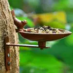 Sharpex Steel wall mount Bird Bath Feeder cast iron for attracting birds Brown Pack of 1, 5x3x10 CM