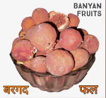 SS520 Dry Banyan fruits 400g. Bargad phal Aalam Pazham Indian Fig Marri Udala vat phal