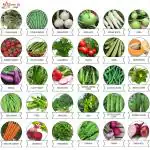 Kraft Seeds Vegetable Seeds Exotic Vegetable Heirloom 30 Varieties