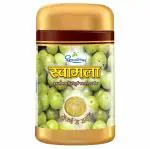 Dhootpapeshwar Swamala Chywanprash 500 g | India's No. 1 Chywanprash for ALL SEASONS