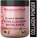 Naturewell Superfood - Plant Based Collagen Booster, 300 Gram