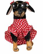 Tickles Polyester Sitting Rottweiler Dog Lightweight Soft Toy 39 cm 1 Month and Up