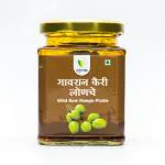 Saguna Baug Wild Raw Mango Pickle, 225 G