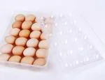 JIGSHTIAL Portable Clear Plastic Egg Container