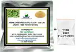 Mgbn The Path For The Healthier Life With Beauty Organic Amaranthus Green Microgreen Seeds, 150 Gm With Plant Seeds