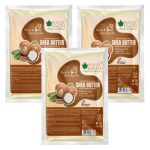 Bliss of Earth Pure Organic Shea Butter, raw Unrefined Great for Stretch mark, Skin & Body 3x100gm