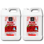 BLISS & BLUSH Hand wash liquid pink 10Litr Rich Lathering Formula with Anti-Bacterial Properties| Soft on Hands| Soothes & Hydrates Skin