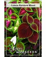 Green World Organic Coleus Rainbow Mixed 100 Seeds