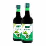 SEYA Pudina/Pudhina Juice, 800ml (Pack of 2) / Immunity Booster, No Added Sugar, Herbal Mint Juice, Vitamin and Minerals