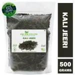 Shudh Online Kali Jeera, Kali Jiri (500 g), Kadwa Kaali Jeeri, Nalla Jeelakarra, Black Cumin Seeds, Kadvi Bitter Kalo Jeeri