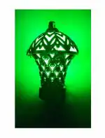 Skytouch Mart Green LED Night Light/Lamp/Home Decoration/Dining Room Decoration