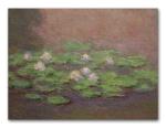 Tamatina Multicolor Claud Monet Closeup Of Water Lily Pond Art Canvas Painting - 13X10 Inch