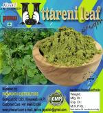 Pmw - Apang - Uttareni - Latjira - Onga - Aghata - Chirchra - Leaf Powder - Prickly Chaff - 500 Grams - Loose Packed