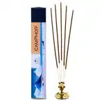 JALLAN Pure Natural Camphor Incense Sticks| Made Using Bhimseni Kapoor| 30 Sticks Pack| 100% Organic Herbal Agarbatti| Handrolled| Long Lasting Fragrance| Free Wooden Incense Holder.