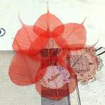 Palesaa SHADED NATURAL PEEPAL SKELETON LEAVES FOR CRAFT DECOR DIY PACK OF 50 CANDY RED Artificial Plant (10 cm, Red)