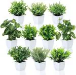 Dekorly Small Fake Plants Mini Faux Plants for Office Desk Potted Artificial Plants Flowers Indoor Plastic Plant Decor Aesthetic Greenery Desk Plant for Home Bathroom (Set of 10, Design-A)